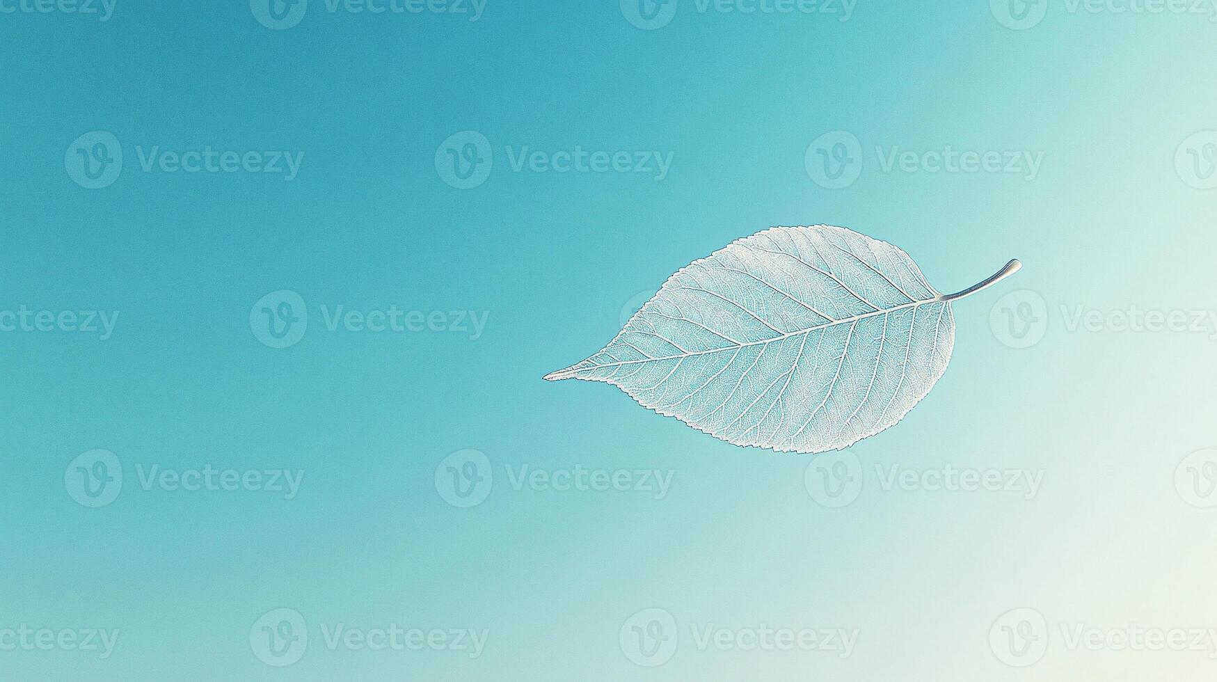 Delicate dried leaf isolated on pastel background highlighting intricate vein pattern natural texture and simplicity photo