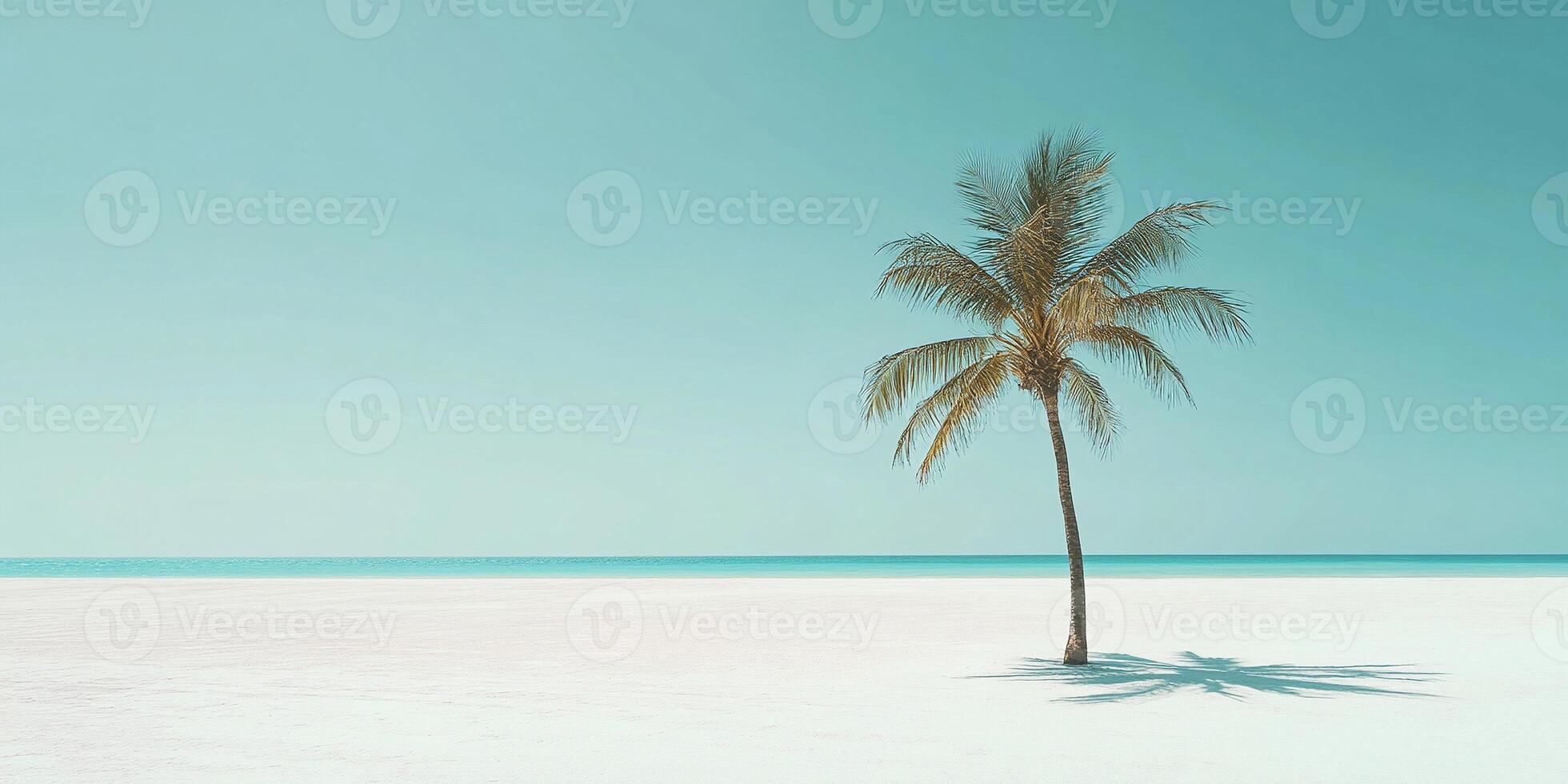 Single palm tree casting long shadow bright beach minimal tropical landscape with clear blue sky photo
