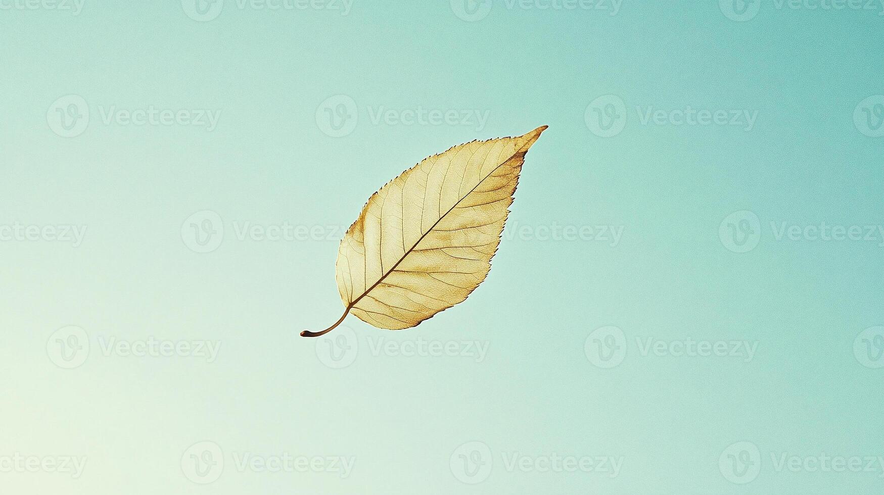 Delicate dried leaf on pastel background highlighting intricate vein pattern natural texture and simplicity photo