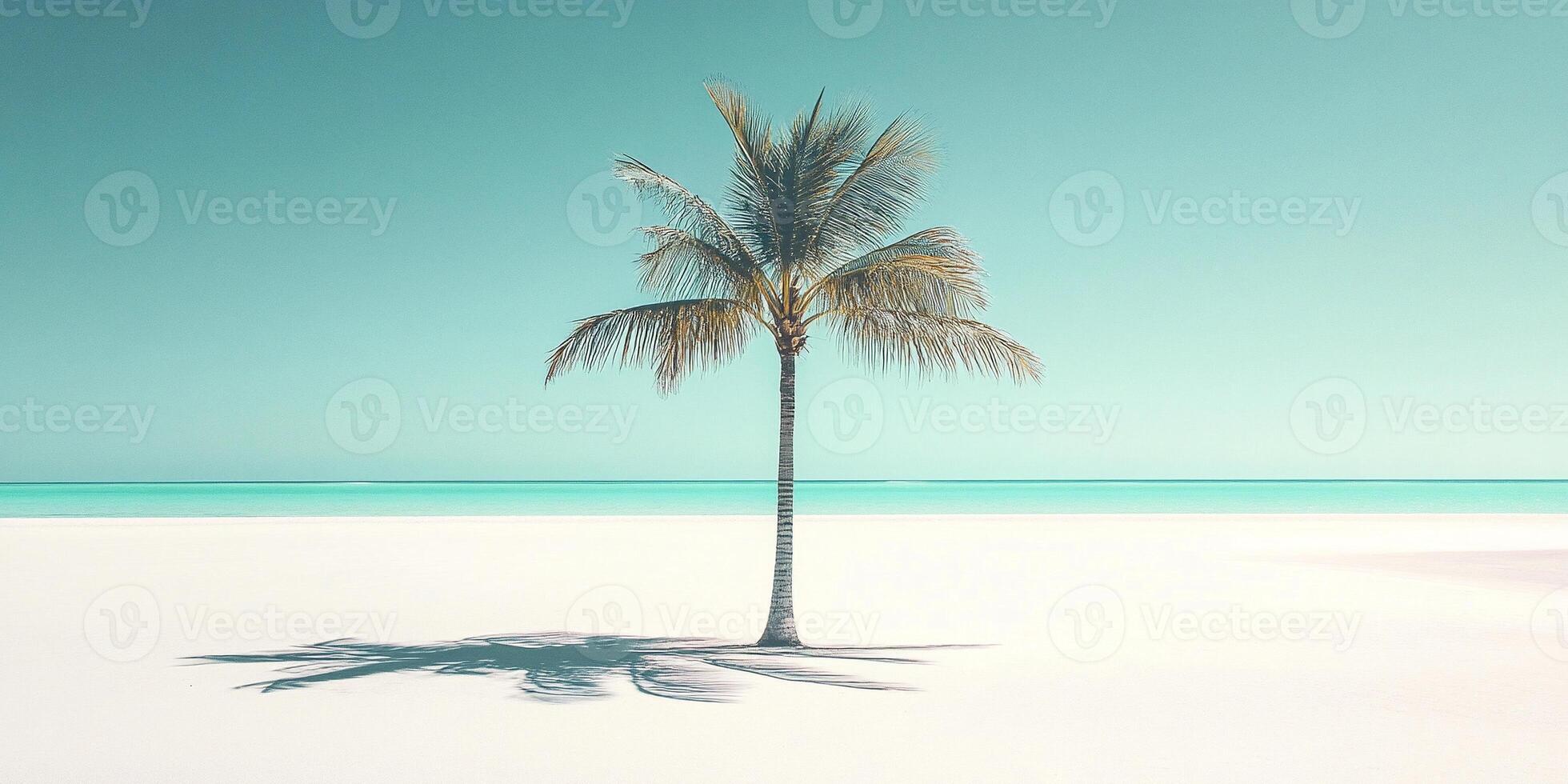 Single palm tree casting long shadow on bright beach minimal tropical landscape with clear blue sky photo