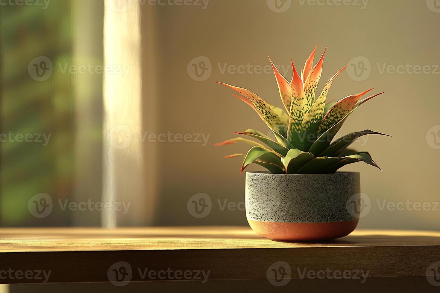 Bromeliad with vibrant red and green leaves in ceramic pot illuminated by warm sunlight in a cozy interior photo