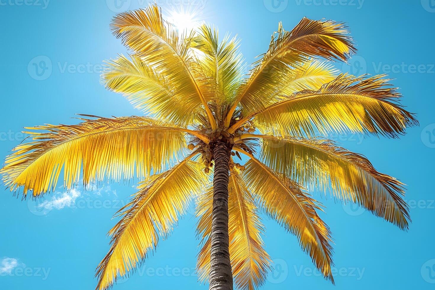 Tropical Palm Tree Against Vibrant Blue Sky for Summer Vacation Themes photo