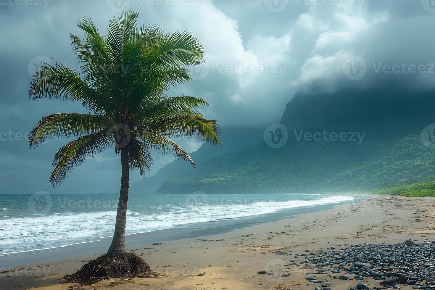 Tropical Beach Scene with Palm Tree and Ocean Waves on Cloudy Day photo