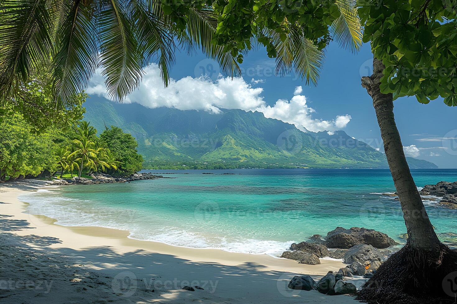 Tropical Paradise Beach with Lush Greenery and Serene Ocean View photo