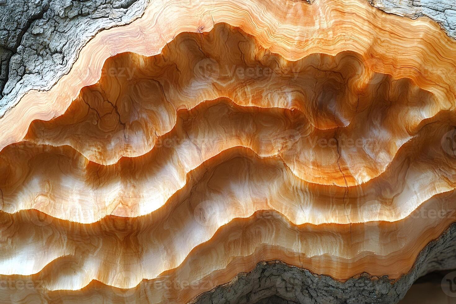 Abstract Natural Wood Grain Pattern for Nature-Inspired Design and Texture Art photo