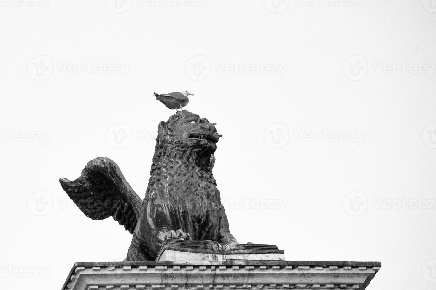 Lion of Venice with a Pigeon standing on head photo