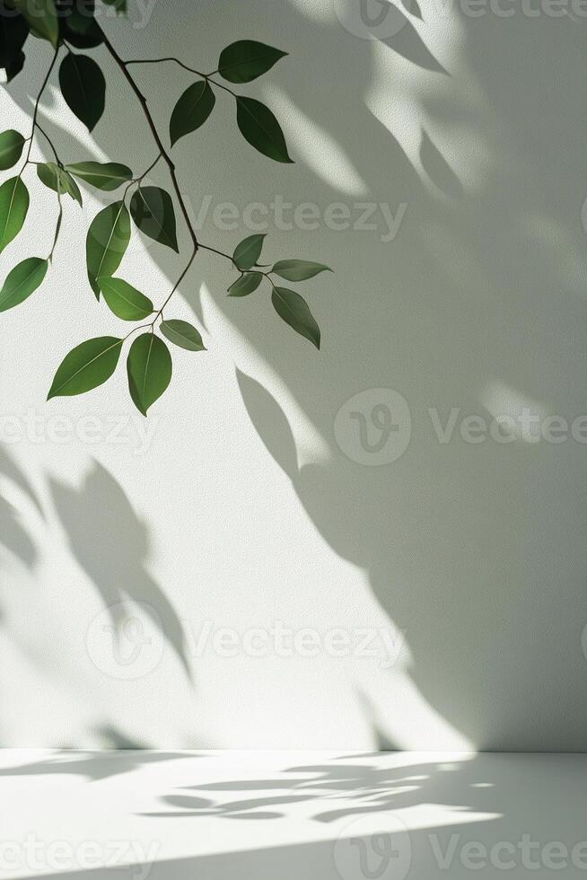 Soft shadows of green leaves gracefully cast onto a clean white wall create a fresh and modern aesthetic. The ample negative space invites creative text overlay in minimalist design photo