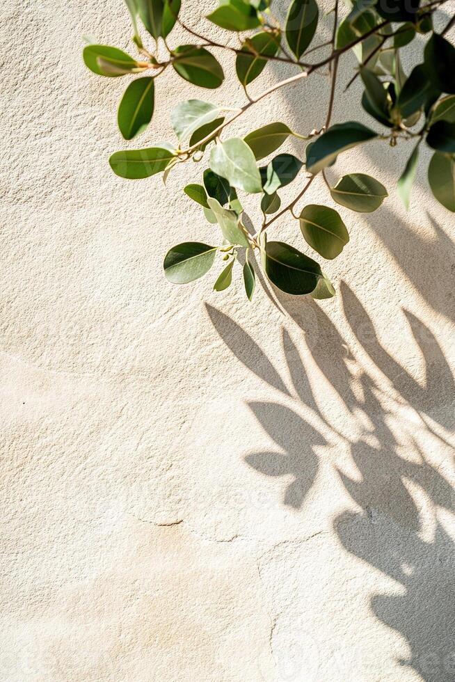 The scene showcases a smooth beige stone surface with delicate shadows of green leaves softly cast upon it. The clean and organic feel creates an inviting ambiance, perfect for text placement photo