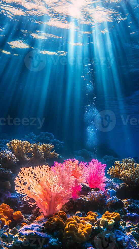 Sublime Underwater Coral Reef Illuminated by Sunlight photo