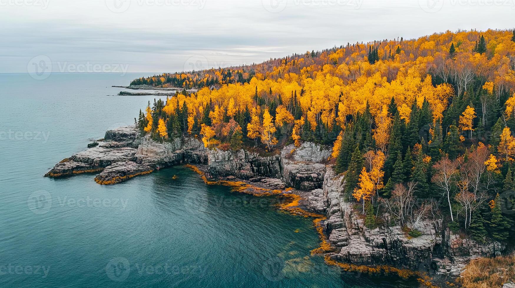 Autumn Coastline Golden Trees by the Azure Water photo