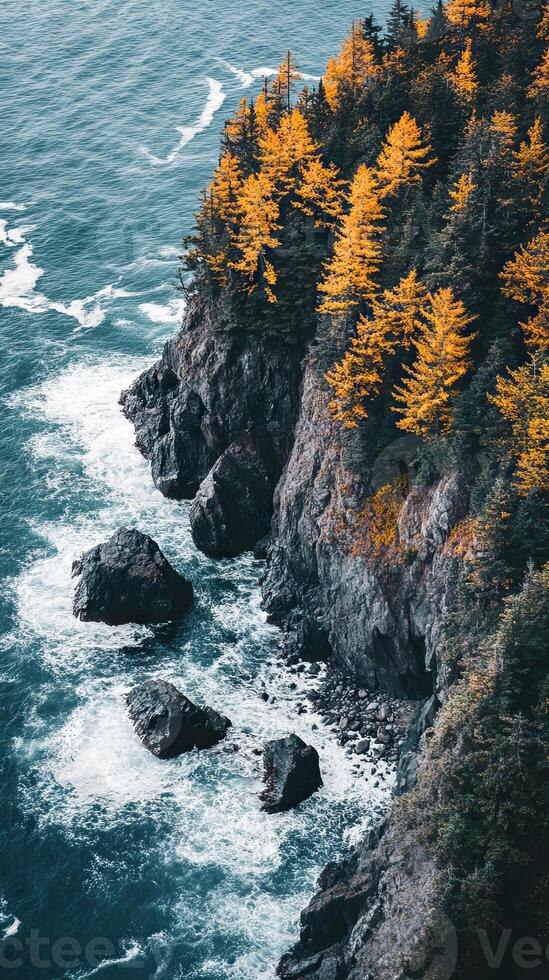Autumn Coastline Dramatic Cliffs and Golden Trees photo
