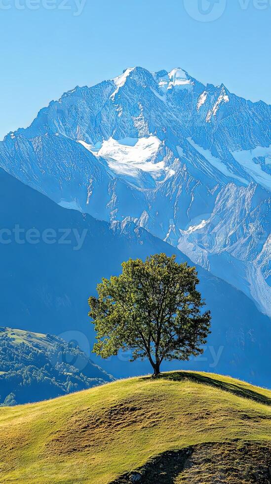 Majestic Mountain Scenery with a Solitary Tree photo