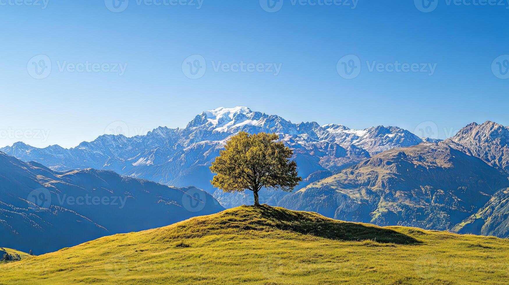 Majestic Mountain Landscape Featuring a Single Tree photo