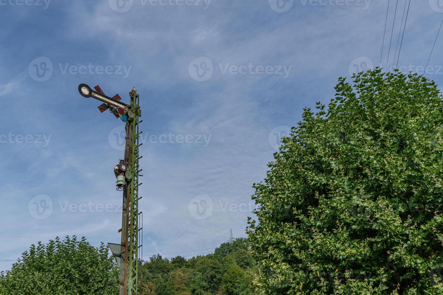 A street sign on a pole in front of a green tree photo