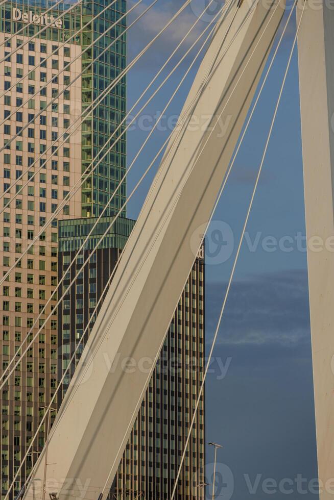 The sky is blue at a bridge in rotterdam photo