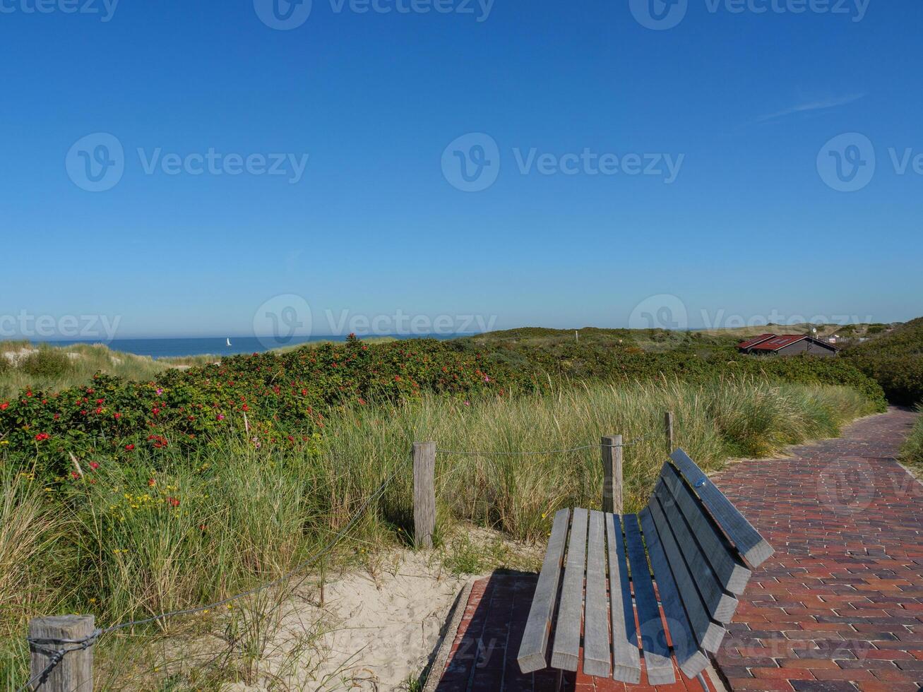 bench in the dunes of langeoog photo
