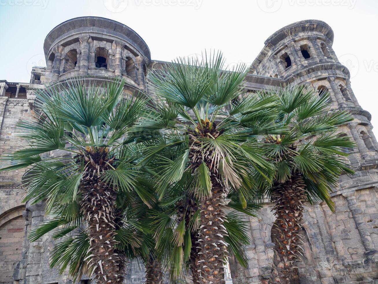 A large building with two towers in trier photo