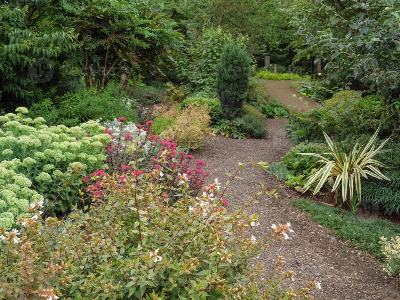 A dirt path in the garden photo