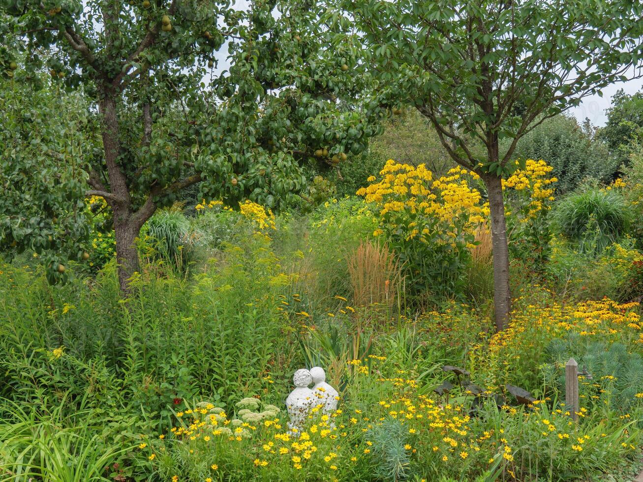 A green tree in the background photo