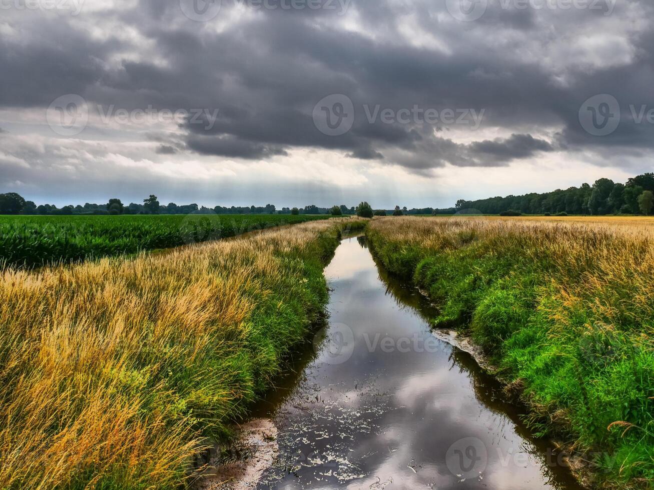 A small stream runs through a field under a cloudy sky photo
