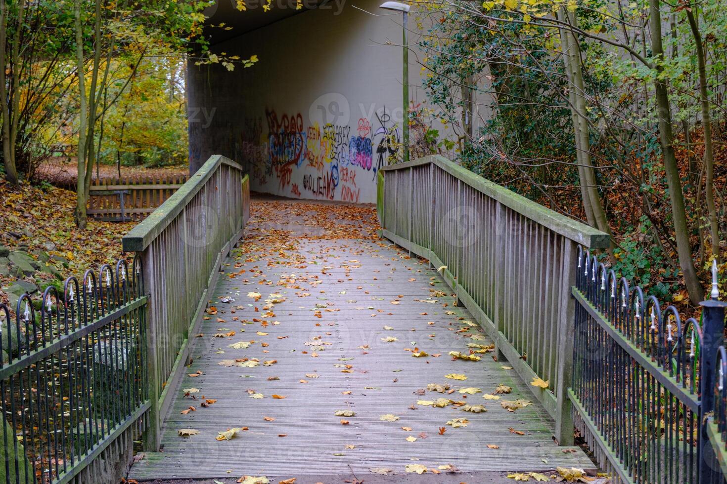 wooden bridge in the village of weseke photo