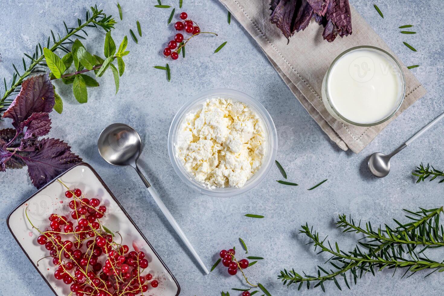 Cottage cheese, yogurt, redcurrant and aromatic herbs creating a delightful culinary scene photo