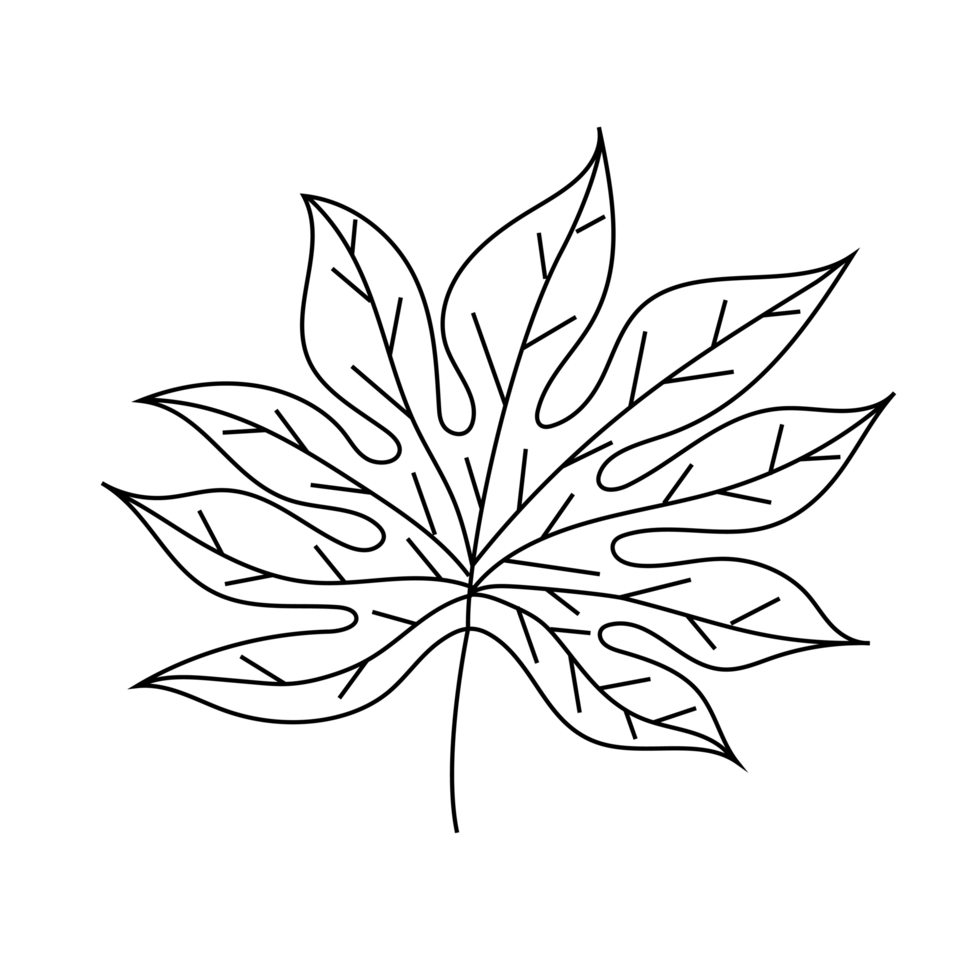 A leave background with a white png