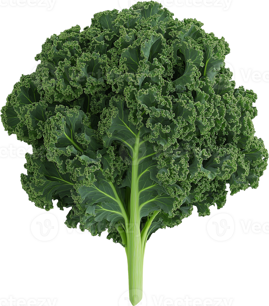 Kale Leaf Cluster Isolated png