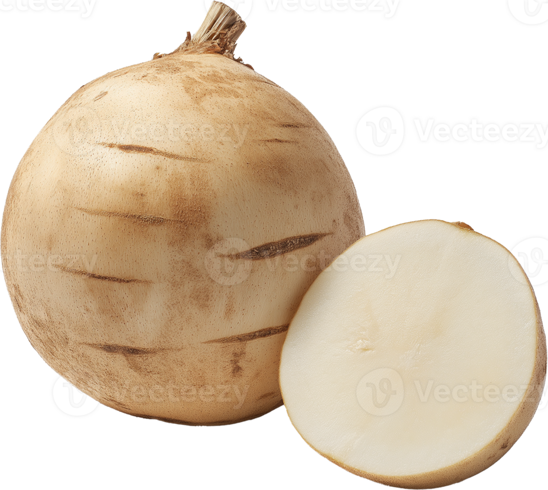 Fresh Jicama Root Isolated png