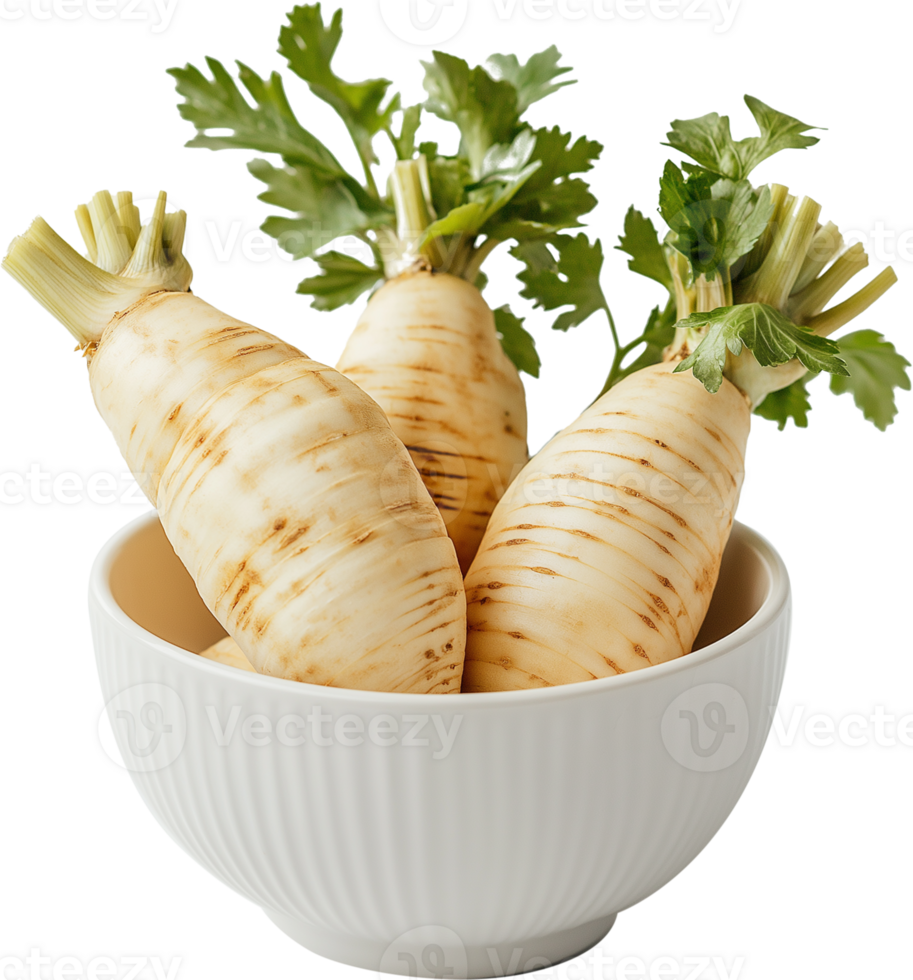 Organic Parsnip Vegetable Close-up png