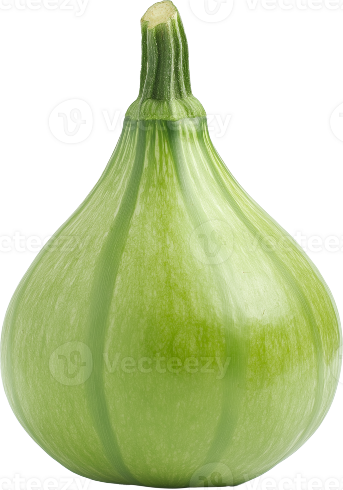 Raw Green Butternut Squash Vegetable Isolated png