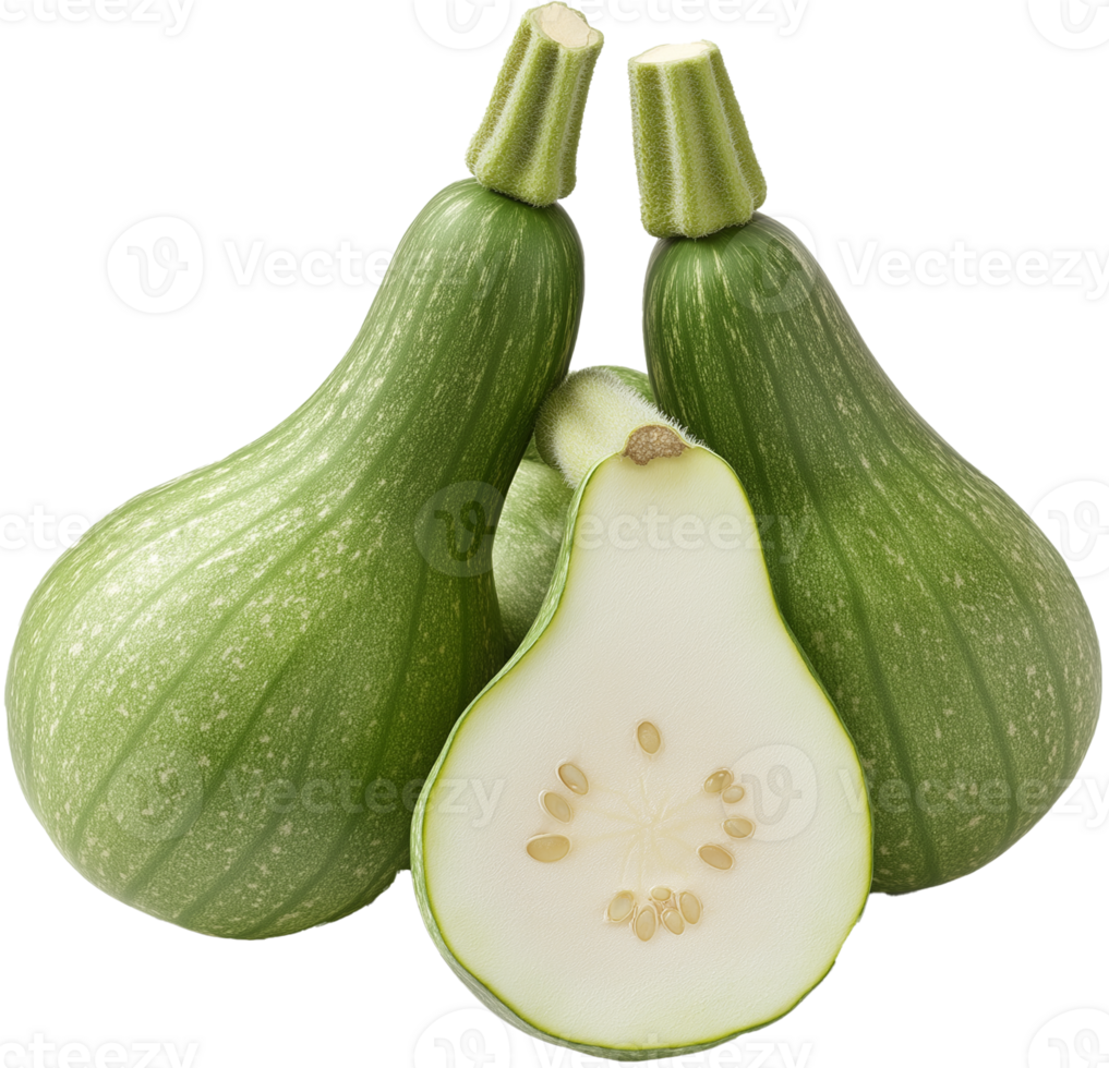 Whole Green Butternut Squash on White Background png