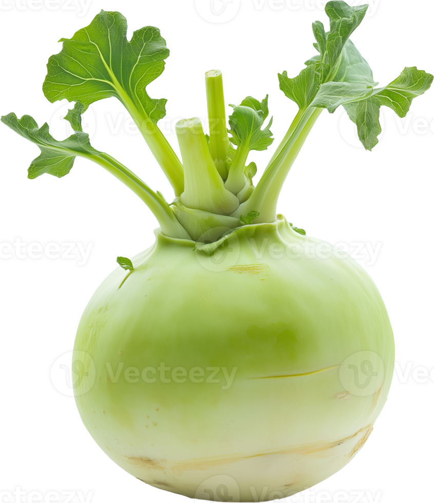 Kohlrabi Vegetable Isolated on White Background png