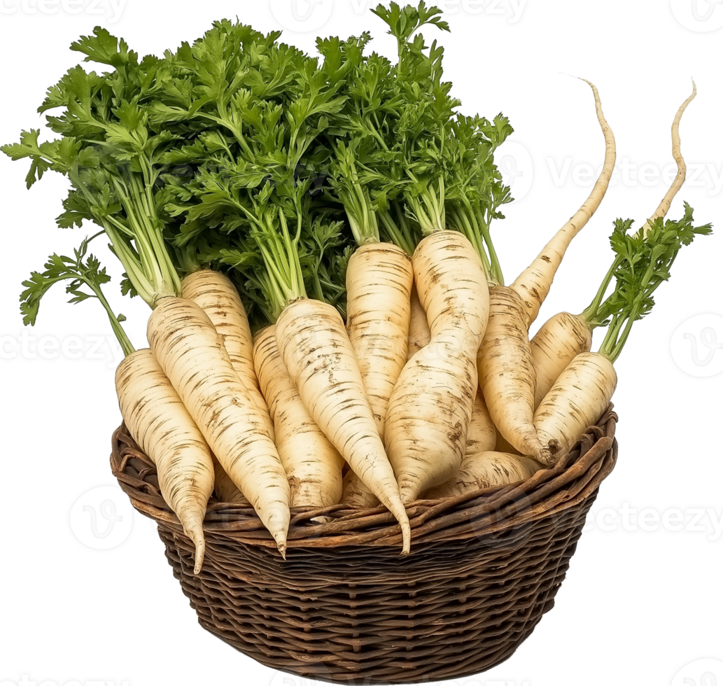 Raw Parsnip Root Isolated on White png