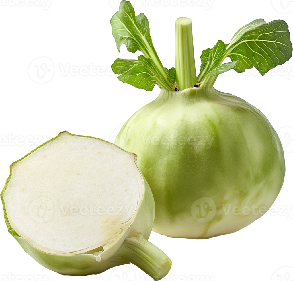 Fresh Kohlrabi Bulb Isolated png