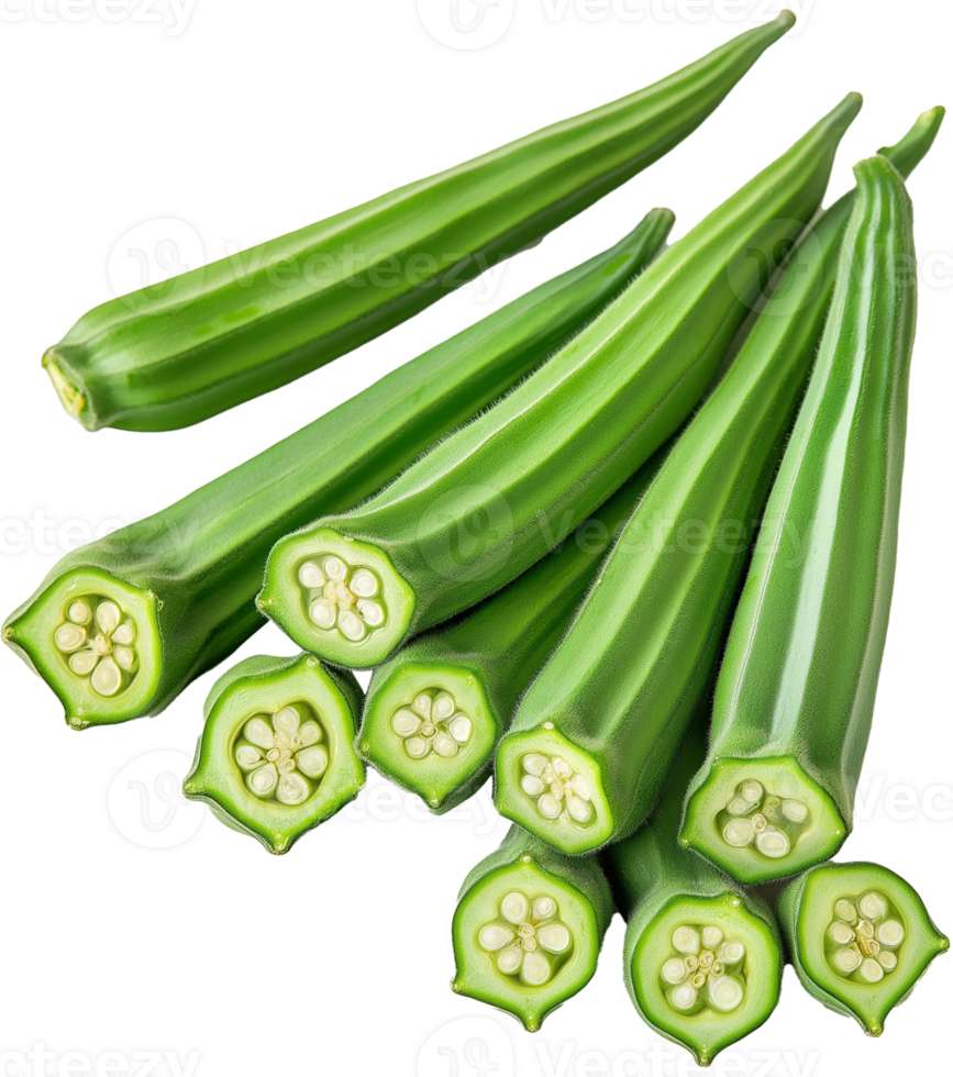 Okra Plant isolate okra vegetable png