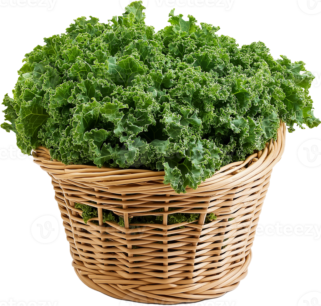 Kale Greens Isolated on White png