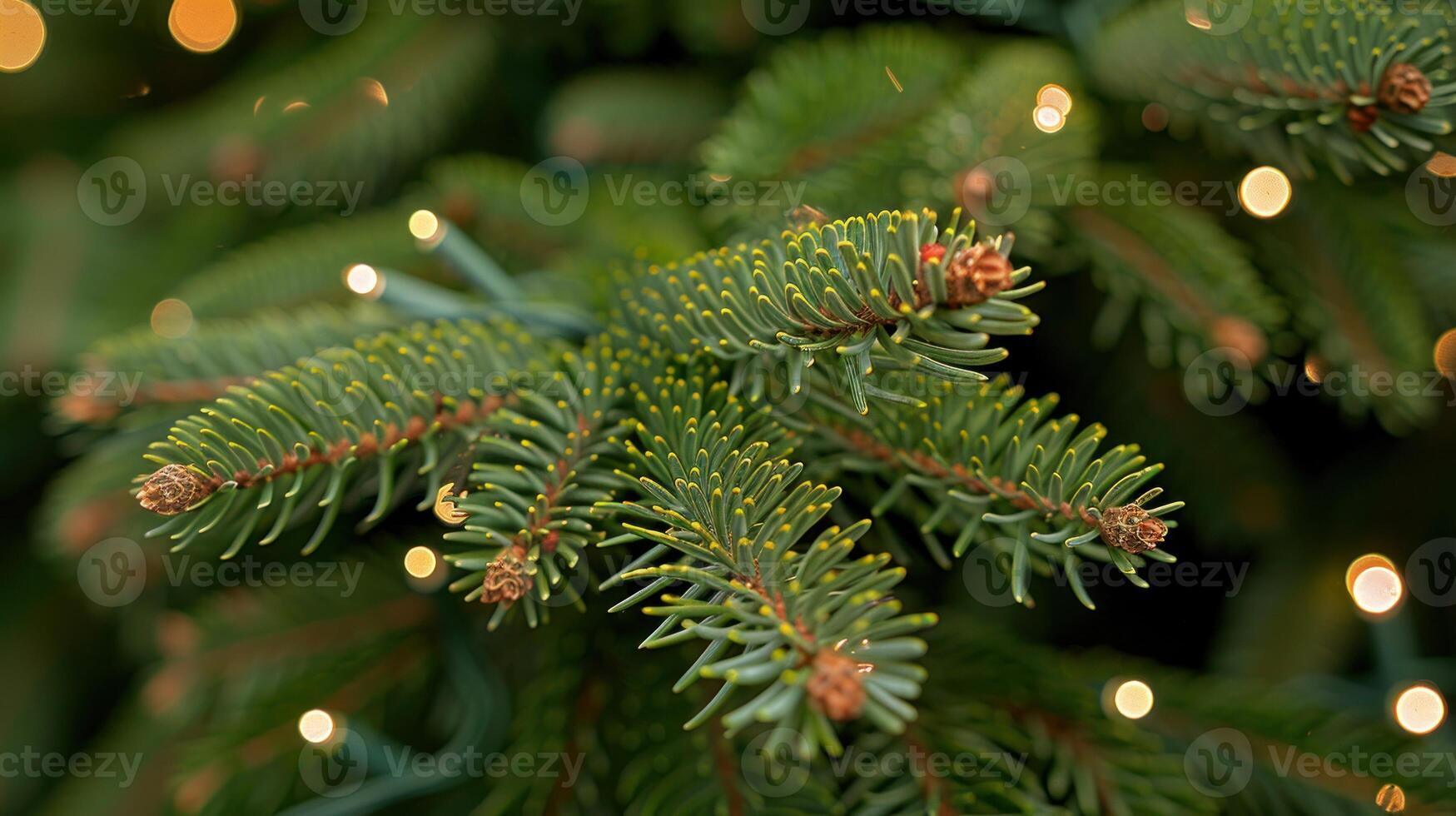 Close-up of pine branch with needles, cones, and lights photo