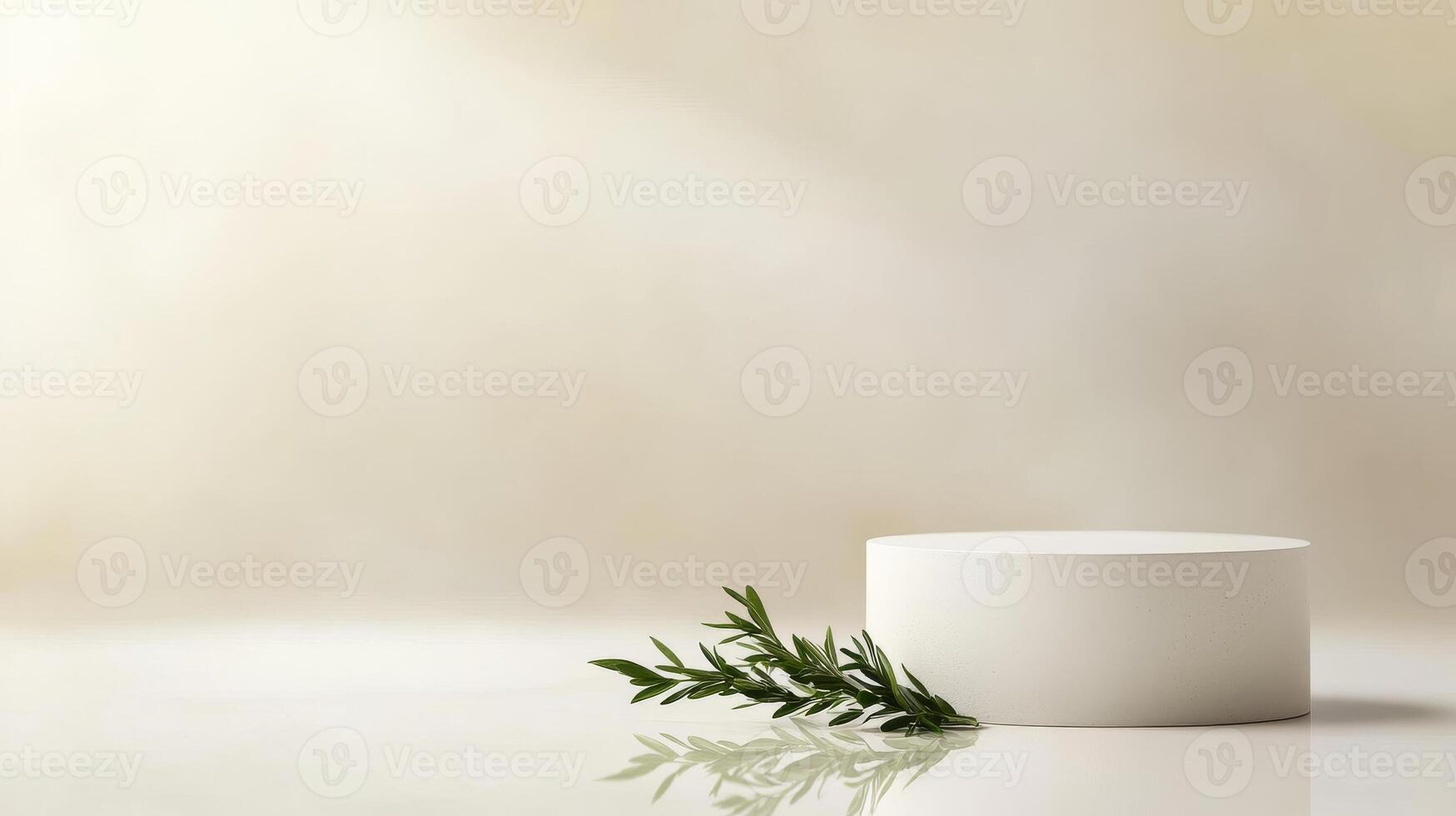 Minimalist display featuring round white pedestal and green foliage against soft neutral background photo