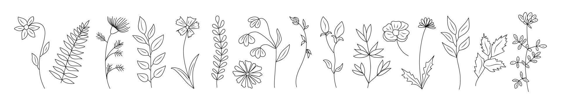 Set of tiny wild flowers and plants line drawing. vector