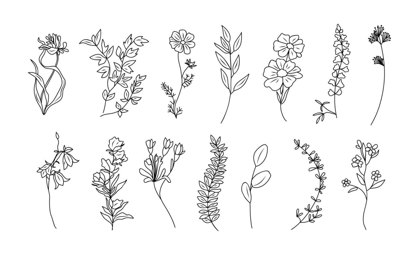 Set of tiny wild flowers, plants line art . vector