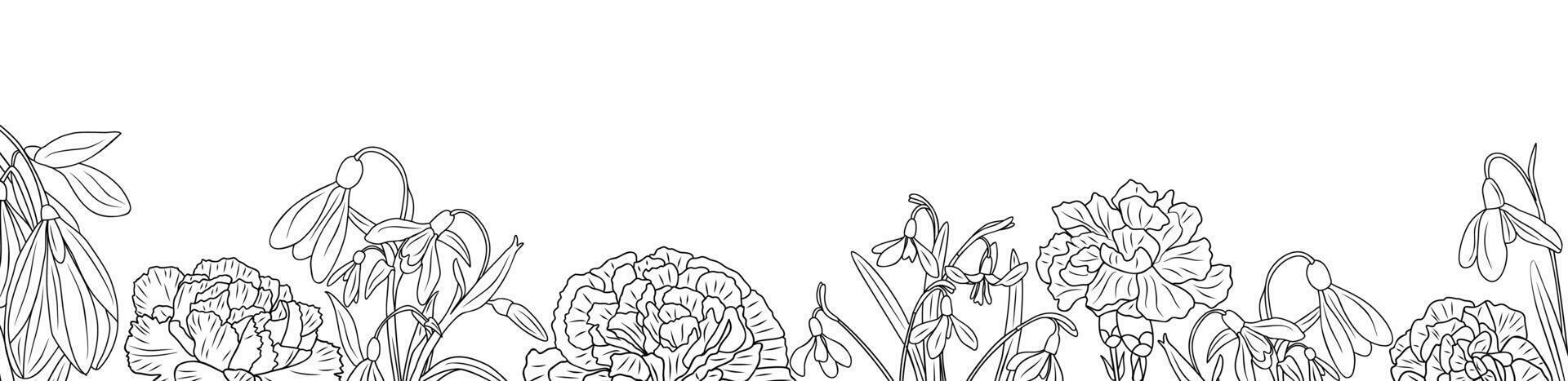 Carnation and snowdrop flowers line art border. vector