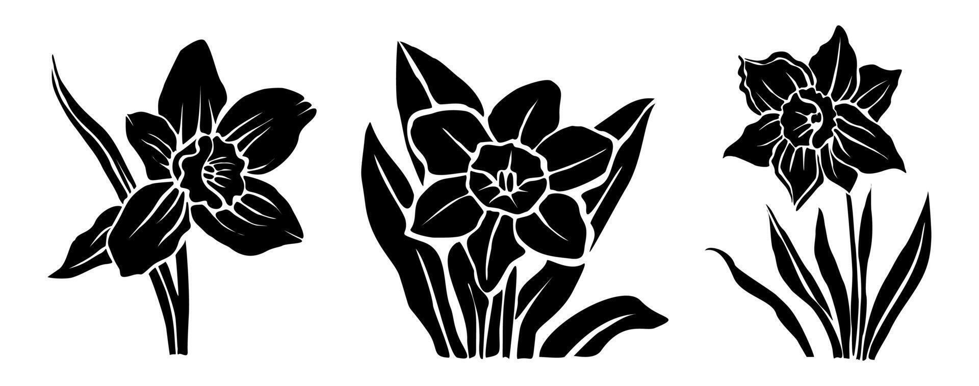 Set of black silhouettes of daffodils flower. vector