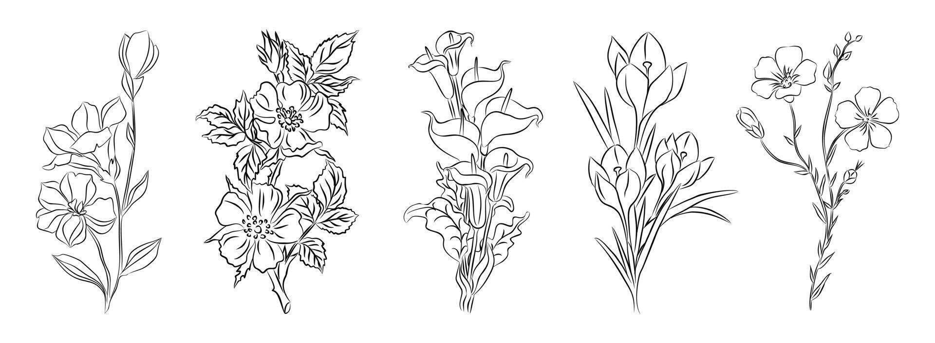 Set of wild, garden flowers, plants line ar. vector