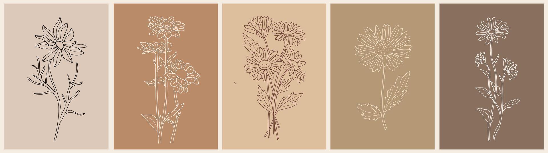 Set of Daisy, April birth month flower wall art. vector