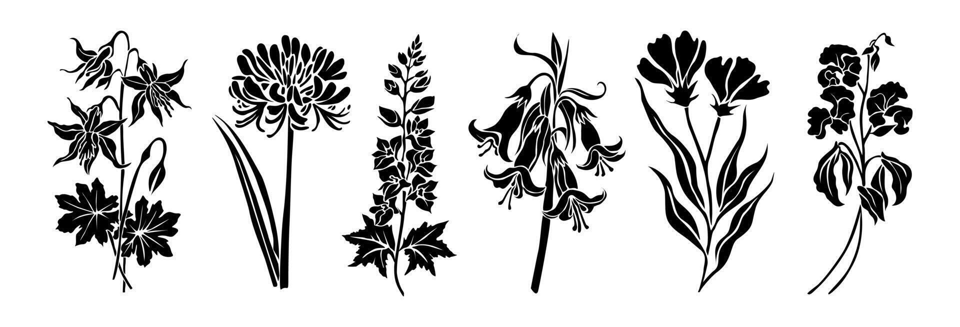 Set of wild flowers and leaves silhouettes. vector