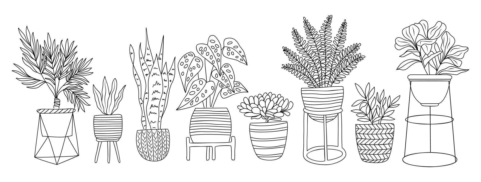 Set of Houseplants outline drawings art. vector