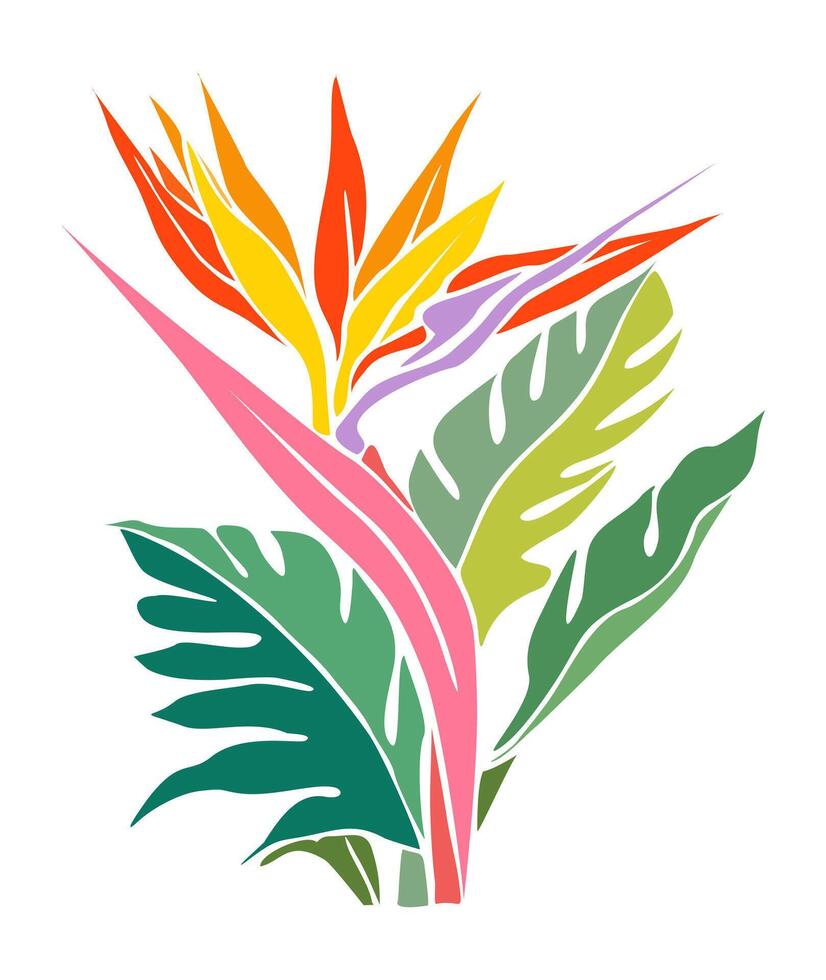 Strelitzia Bird of Paradise flower isolated vector