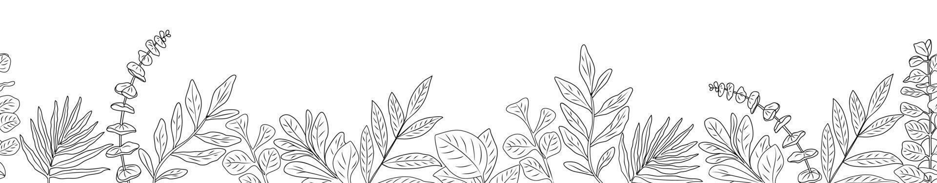 Border with eucalyptus line art drawing. vector