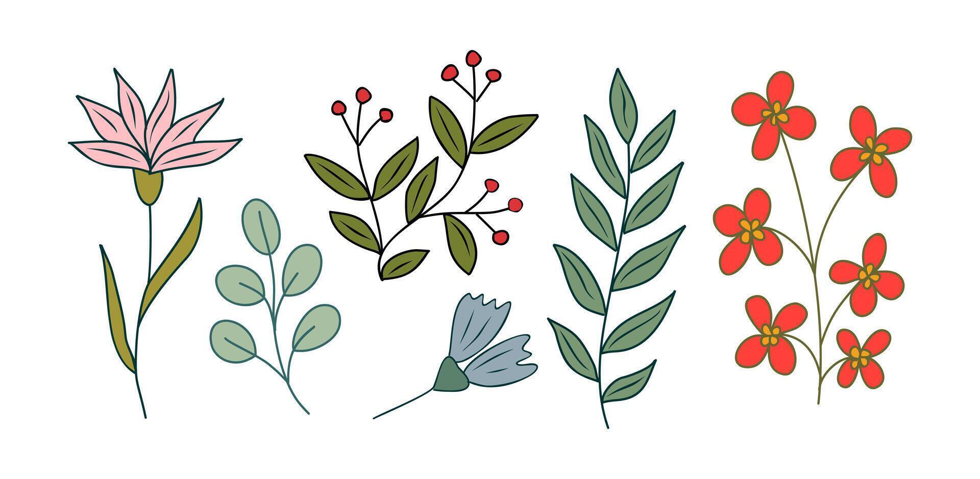 Set of tiny wild flowers and plants colored vector